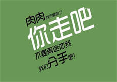 猫爪app可以在哪下载
